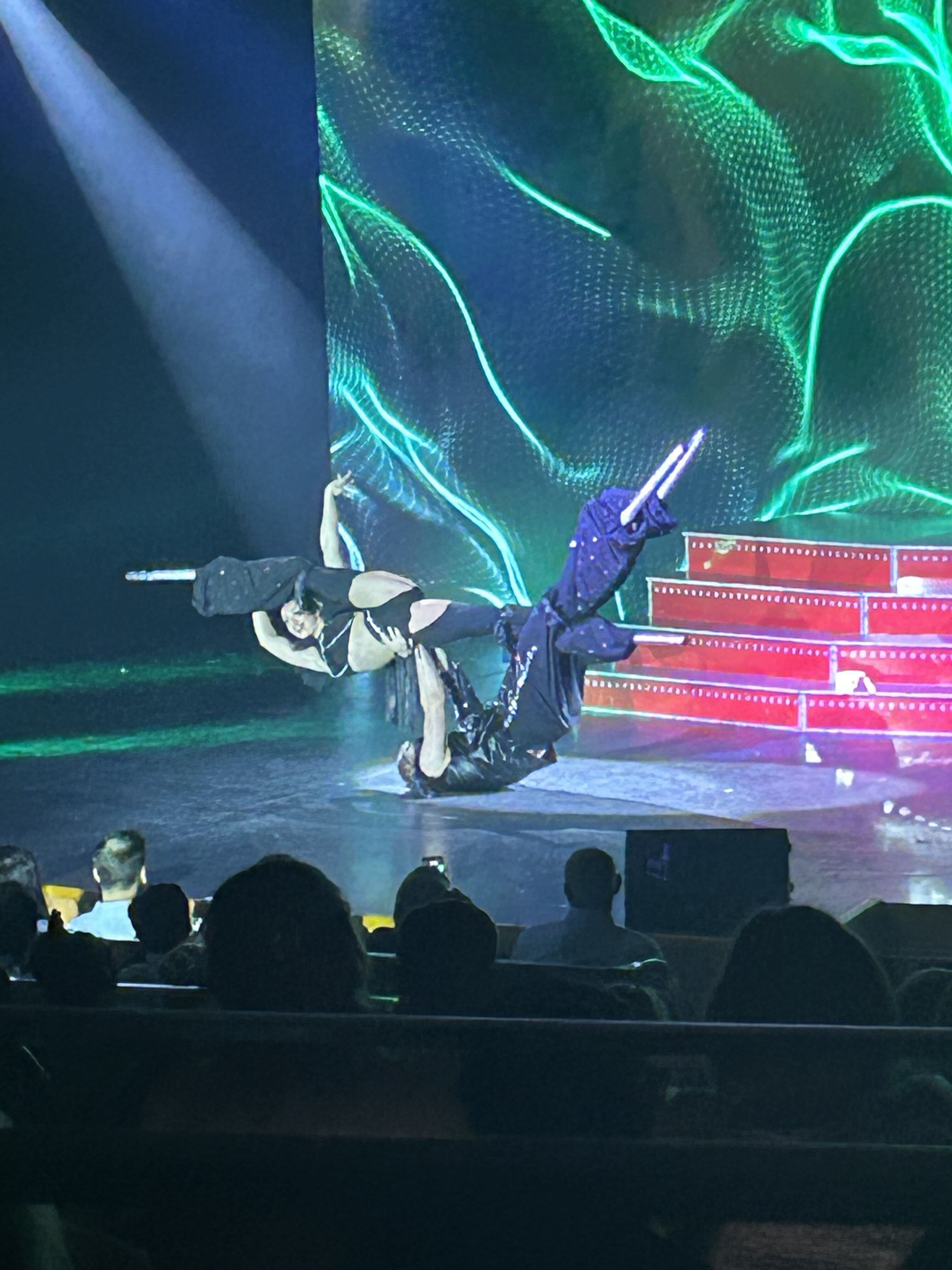 Acro Stilts Duo