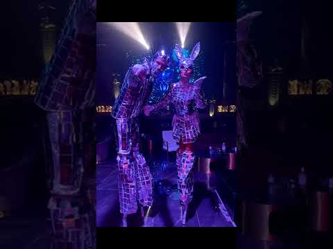 Welcoming, Go-Go Dancers, Party Artists & Stilt Animation